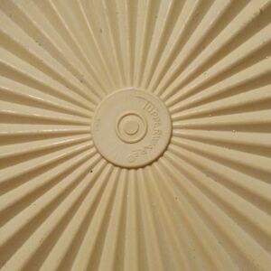 Vintage 1970.tupperware container